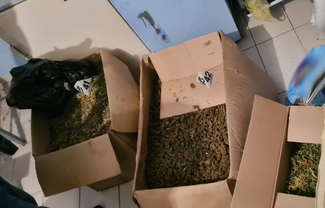U okolini Obrenovca pronađeno oko 50 kilograma marihuane