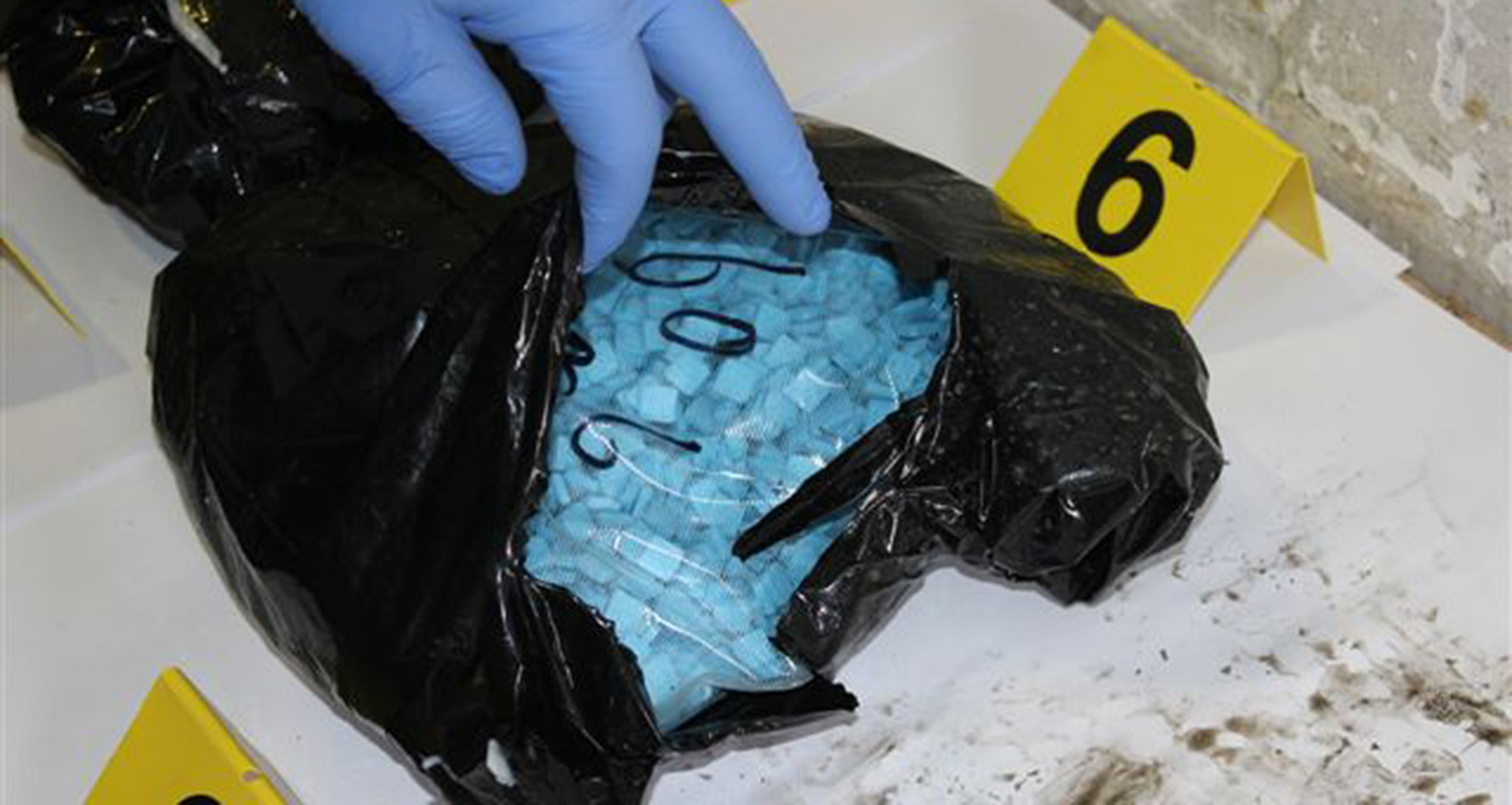 Полицијa на ГП Хоргош запленила 4,6 килограма кокаина и скоро осам килограма екстазија и спида